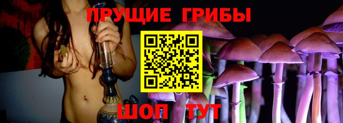 Сокол  Галлюциногенные грибы Magic Shrooms  Вход с VPN 
